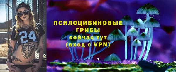 ECSTASY Верхний Тагил