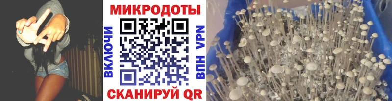 Галлюциногенные грибы ЛСД  Купить закладки  Нерехта 